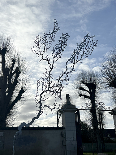 Sylvie de Meurville, Yonne